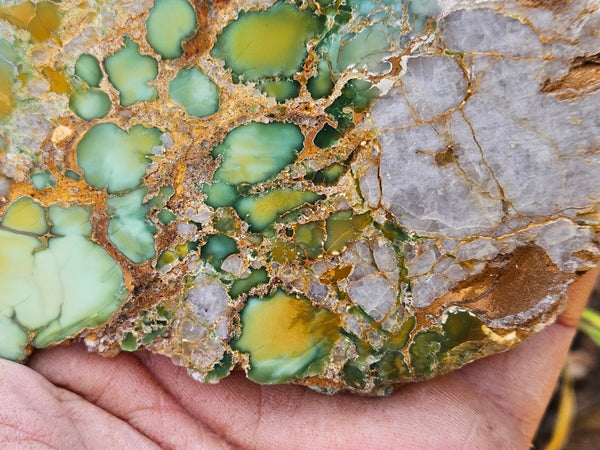 Variscite Polished Slab.  VP 280