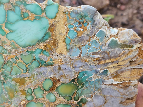 Variscite Polished Slab.  VP 280