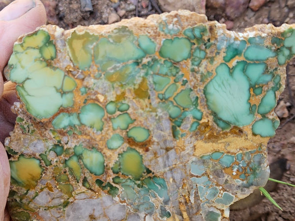 Variscite Polished Slab.  VP 280