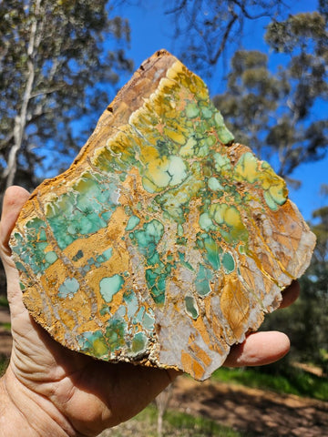 Variscite Polished Slab.  VP 281