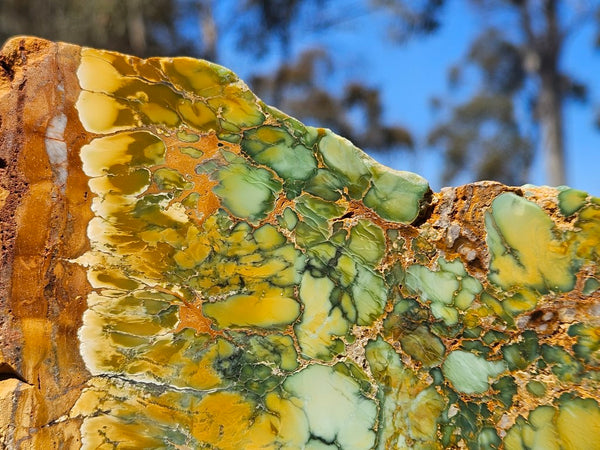 Variscite Polished Slab.  VP 281