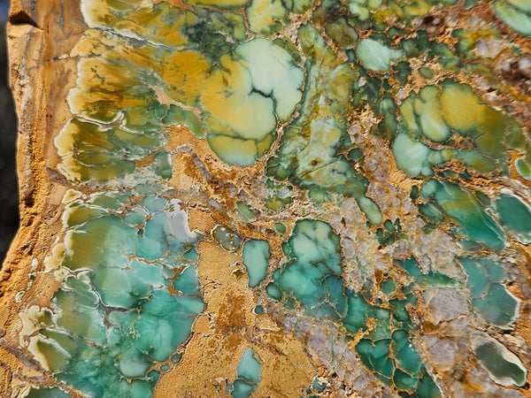 Variscite Polished Slab.  VP 281