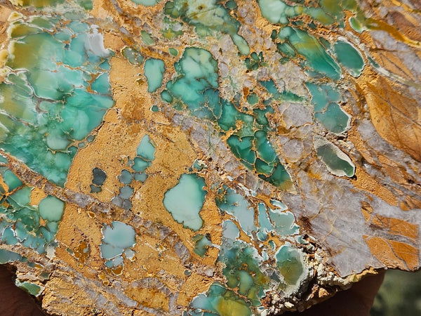 Variscite Polished Slab.  VP 281