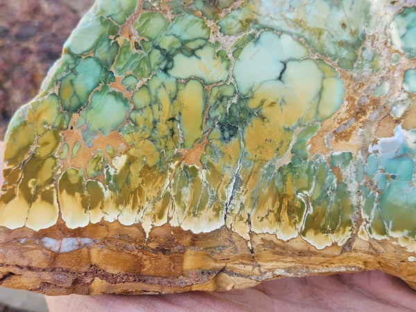 Variscite Polished Slab.  VP 281