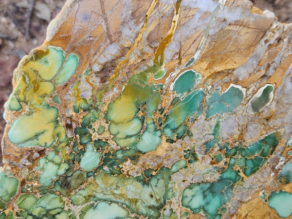 Variscite Polished Slab.  VP 281