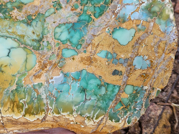 Variscite Polished Slab.  VP 281