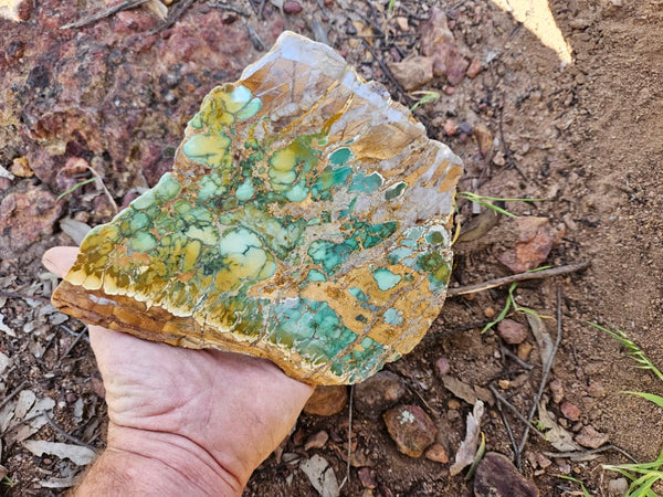 Variscite Polished Slab.  VP 281