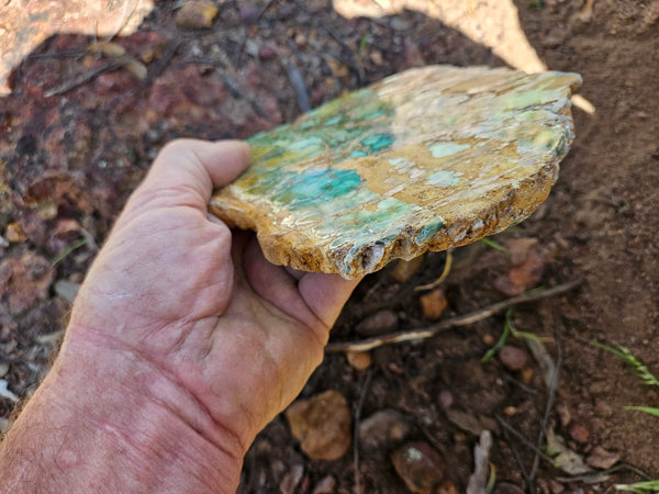 Variscite Polished Slab.  VP 281