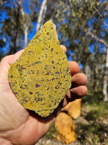 Polished Stichtite in Serpentine (Atlantisite) STI143