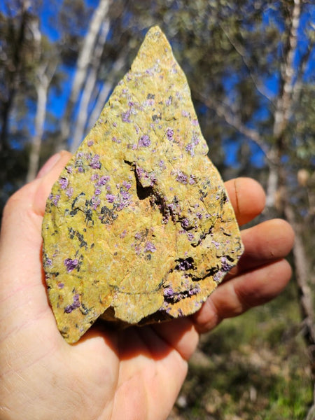 Polished Stichtite in Serpentine (Atlantisite) STI143