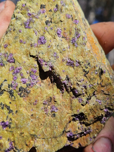 Polished Stichtite in Serpentine (Atlantisite) STI143