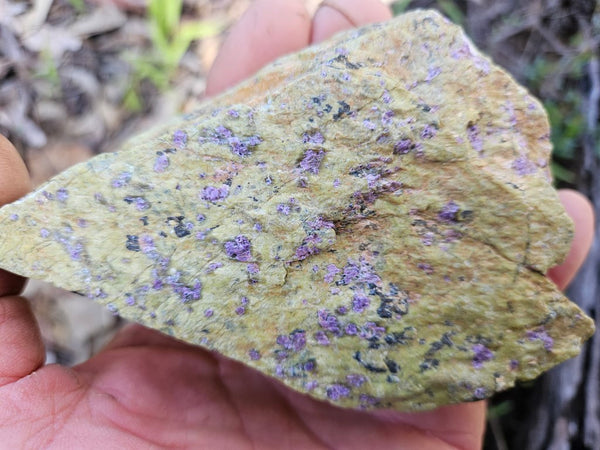 Polished Stichtite in Serpentine (Atlantisite) STI143