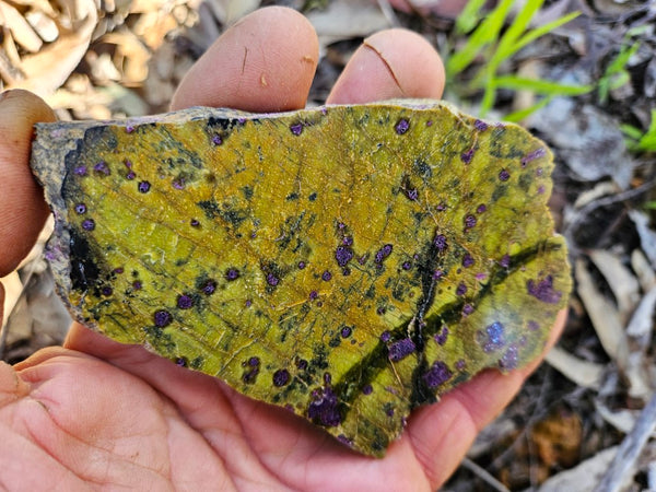 Polished Stichtite in Serpentine slab (Atlantisite) STI146