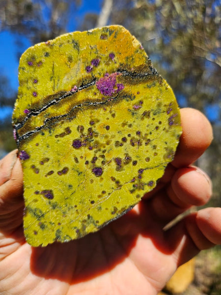 Polished Stichtite in Serpentine slab (Atlantisite) STI147