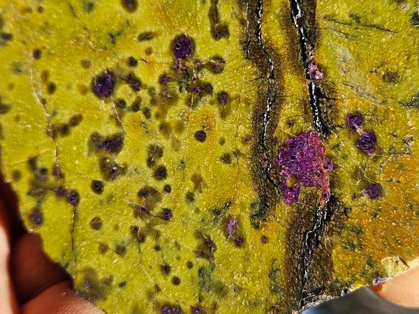 Polished Stichtite in Serpentine slab (Atlantisite) STI147