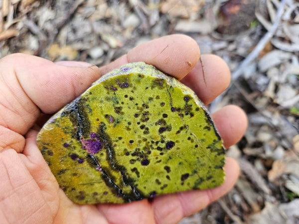 Polished Stichtite in Serpentine slab (Atlantisite) STI147