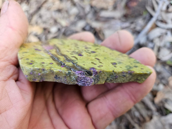 Polished Stichtite in Serpentine slab (Atlantisite) STI147