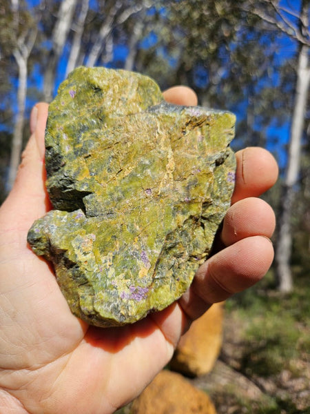 Polished Stichtite in Serpentine (Atlantisite) STI144