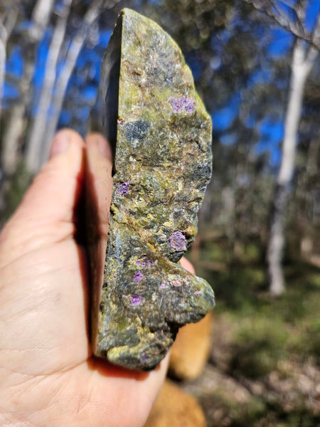 Polished Stichtite in Serpentine (Atlantisite) STI144