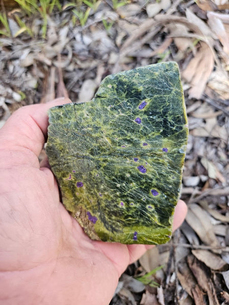 Polished Stichtite in Serpentine (Atlantisite) STI144