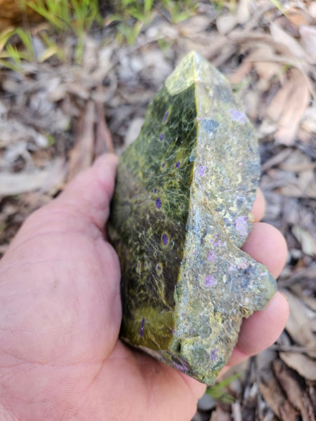 Polished Stichtite in Serpentine (Atlantisite) STI144