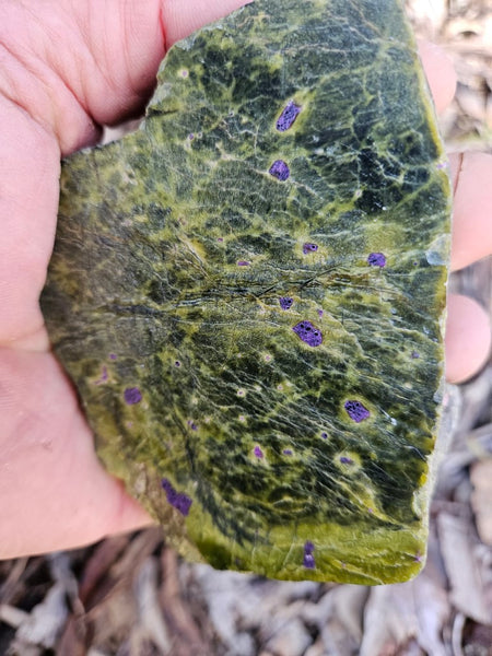 Polished Stichtite in Serpentine (Atlantisite) STI144