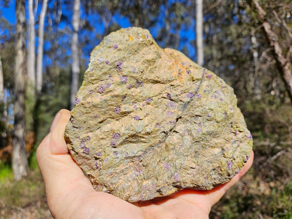 Polished Stichtite in Serpentine (Atlantisite) STI145