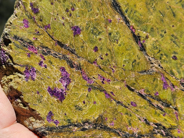 Polished Stichtite in Serpentine (Atlantisite) STI145