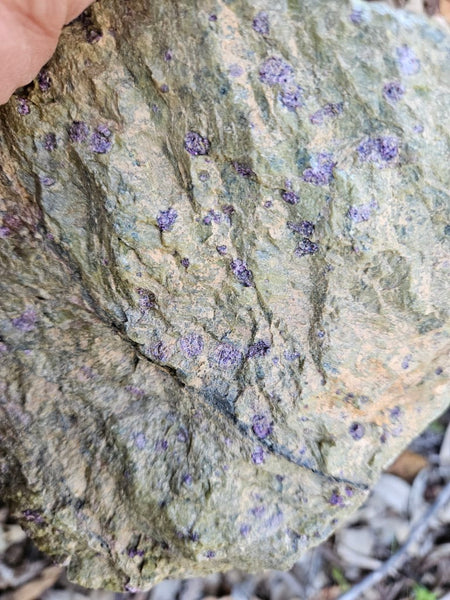 Polished Stichtite in Serpentine (Atlantisite) STI145