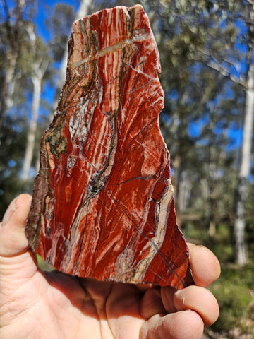 Starry Jasper polished slab SJ152