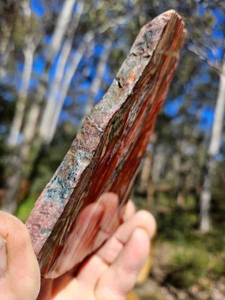 Starry Jasper polished slab SJ152