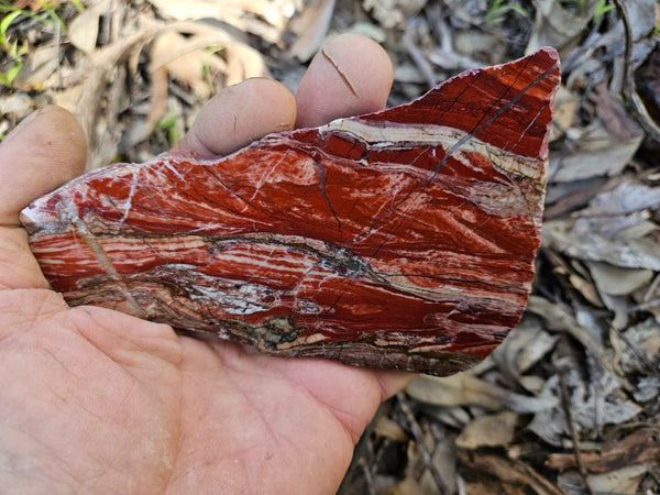 Starry Jasper polished slab SJ152