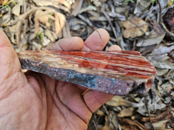 Starry Jasper polished slab SJ152