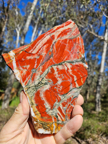 Starry Jasper polished slab SJ153