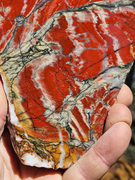 Starry Jasper polished slab SJ153