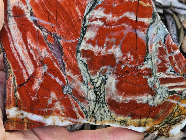 Starry Jasper polished slab SJ153