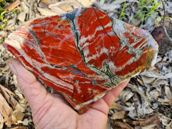 Starry Jasper polished slab SJ153