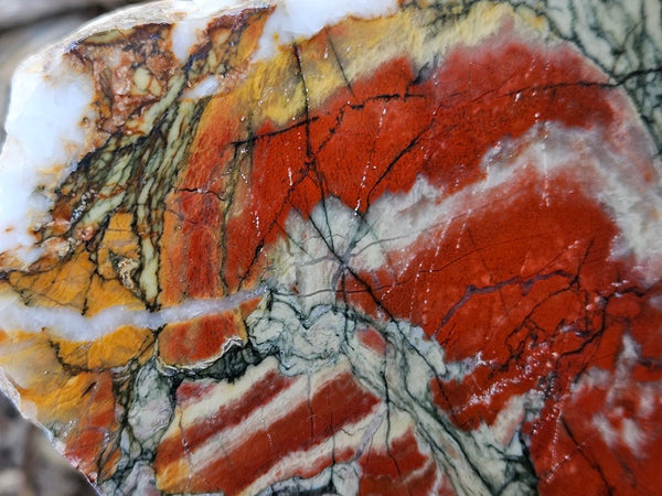 Starry Jasper polished slab SJ153