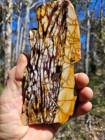 Polished Peanut Wood slab PW325