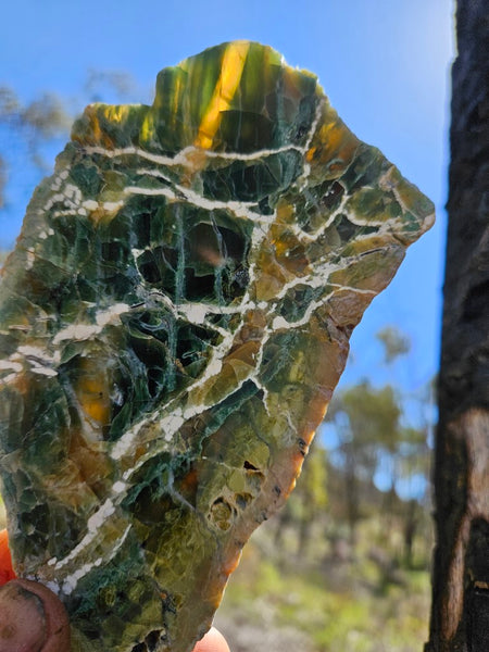 Polished Green Opal slab GRN105