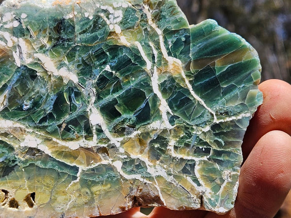 Polished Green Opal slab GRN105