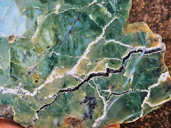 Polished Green Opal slab GRN106