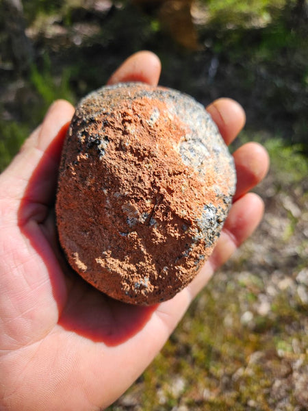 Polished Orbicular Granite. OG198