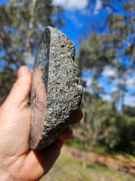 Polished Orbicular Granite. OG199