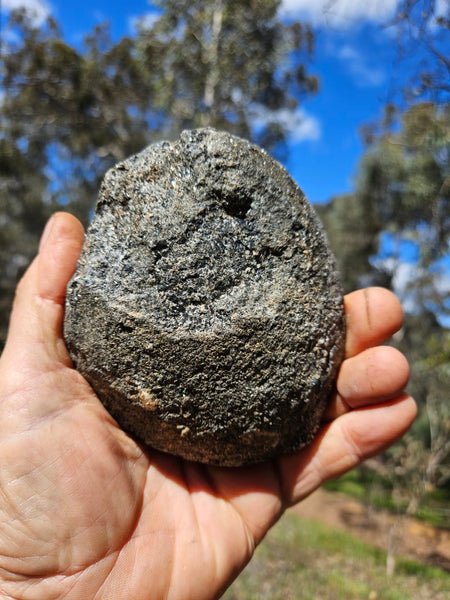 Polished Orbicular Granite. OG199