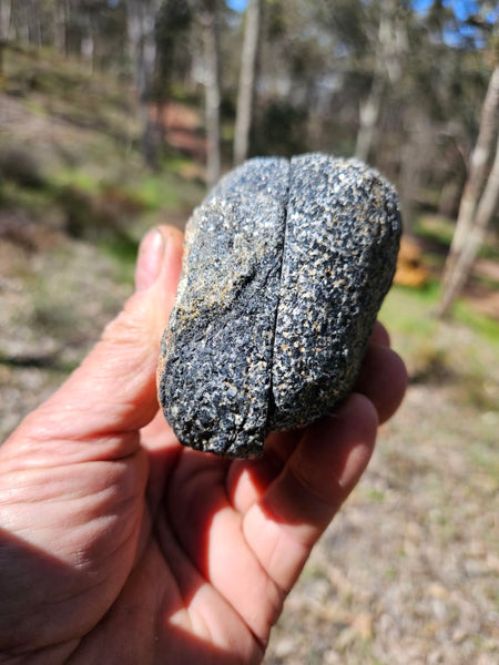 Pair of polished Orbicular Granite. OG200