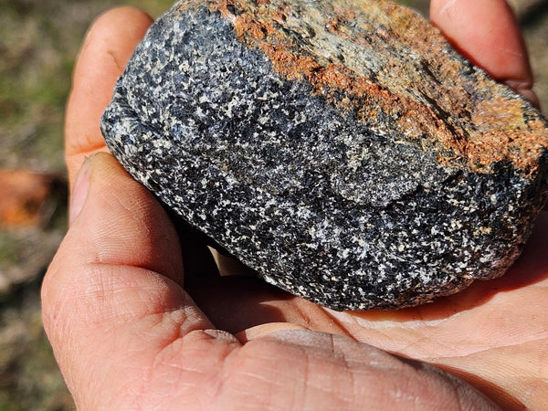 Pair of polished Orbicular Granite. OG200