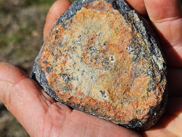 Pair of polished Orbicular Granite. OG200