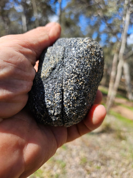 Pair of polished Orbicular Granite. OG200