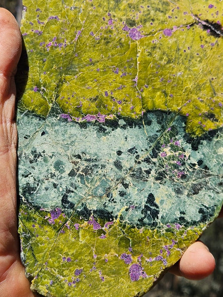 Polished Stichtite in Serpentine slab (Atlantisite) STI148